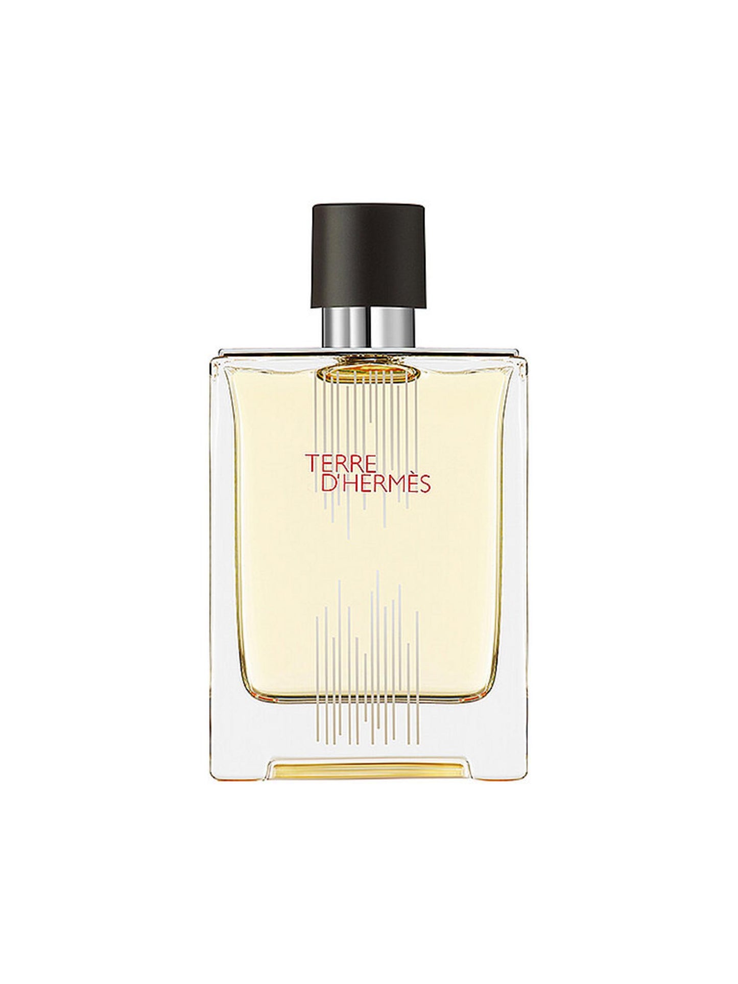 Hermes Hermes, Terre d'Hermes Flacon H Limited Edition, Eau de Toilette, Für Männer, 100 ml Regular