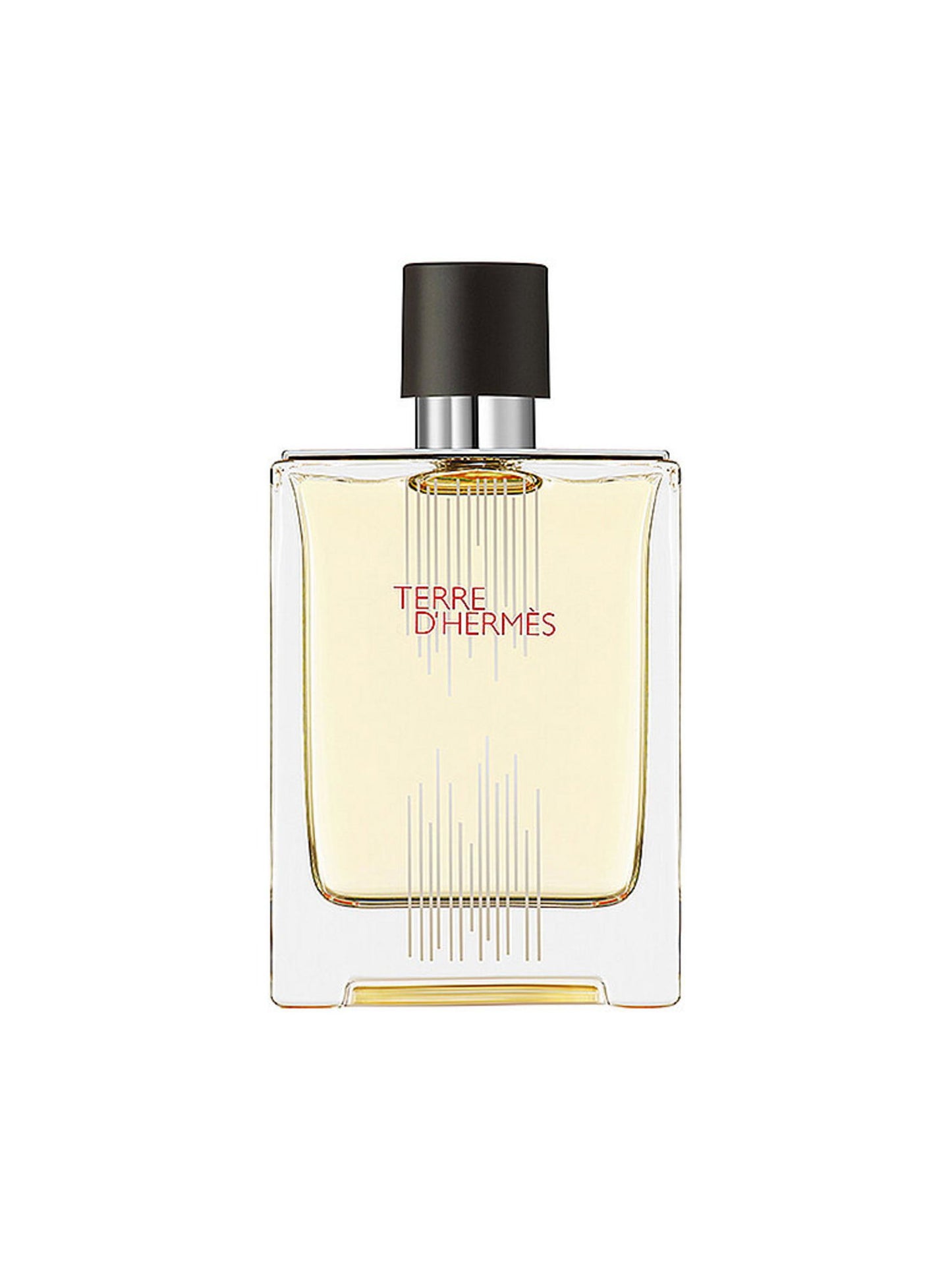 Hermes Hermes, Terre d'Hermes Flacon H Limited Edition, Eau de Toilette, Für Männer, 100 ml Regular