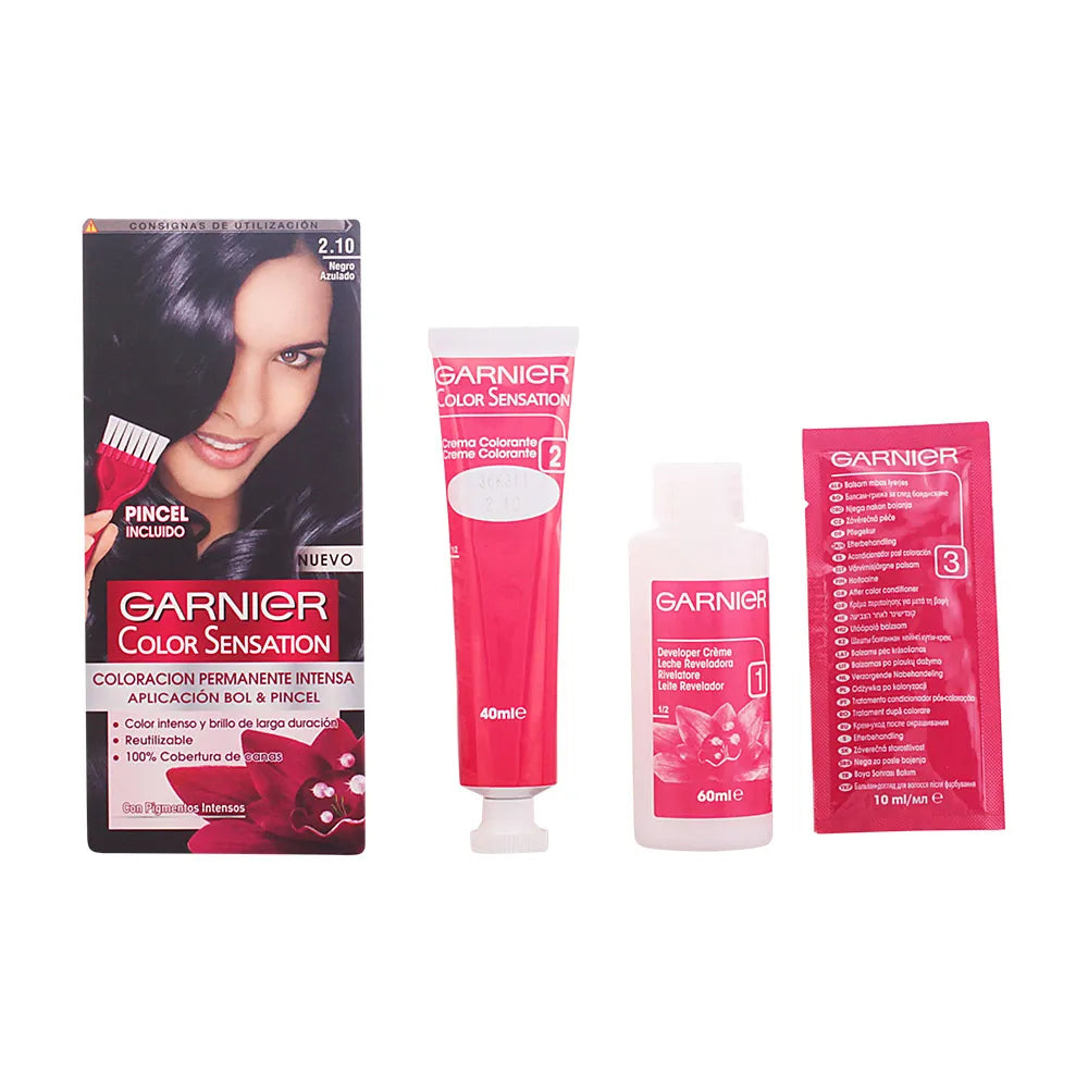 Garnier Color Sensation 2,10 Bläulich Schwarz