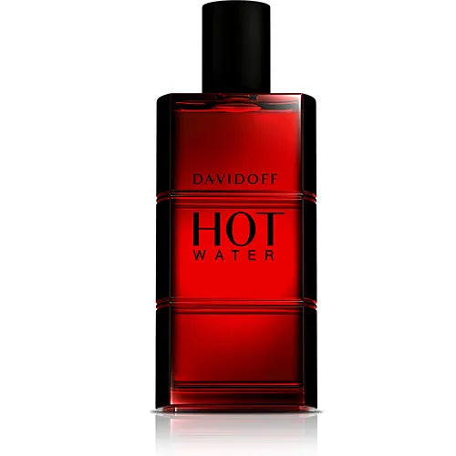 DAVIDOFF DAVIDOFF Hot Water Eau de Toilette Spray 110 ml Herrenduft Parfüm