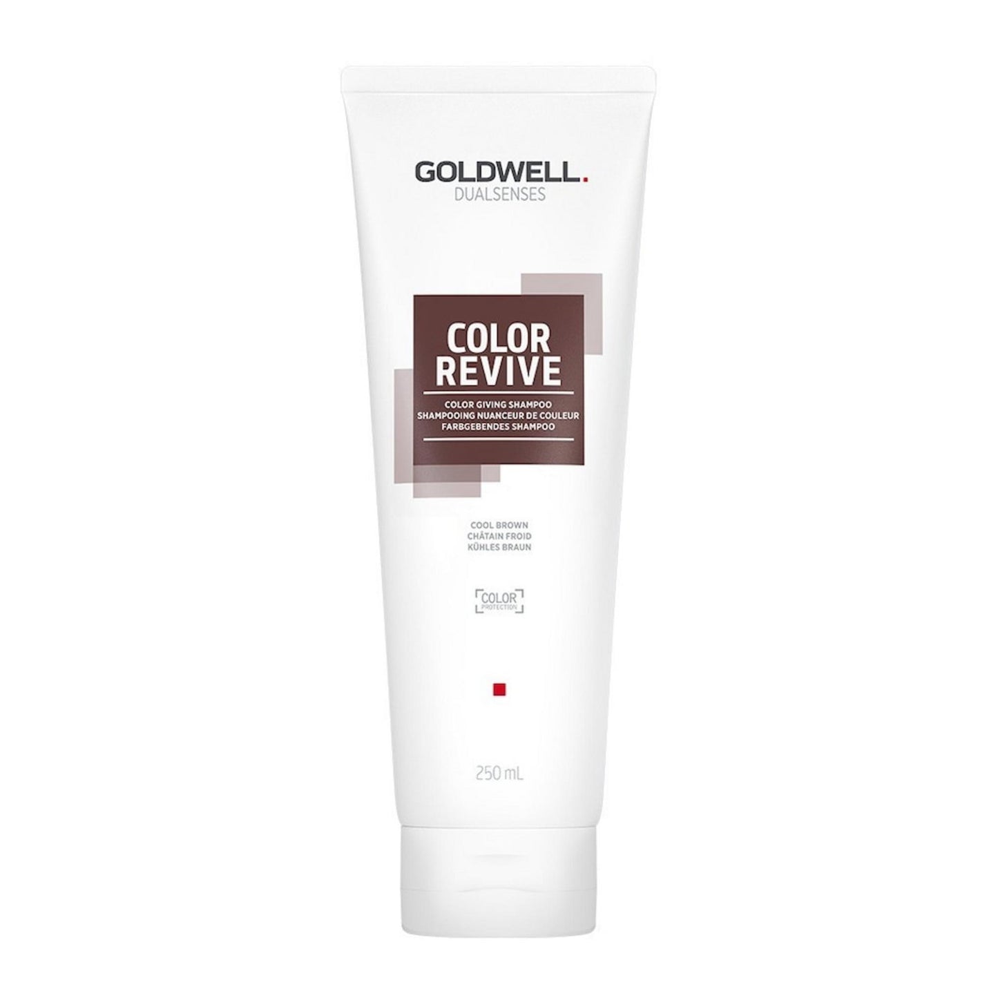 Goldwell Goldwell, Dualsenses Color Revive, Haarfarben-Shampoo, Cool Brown, 250 ml Regular