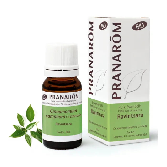 PRANARÔM Pranarom Essential Oil Ravintsara 10ml