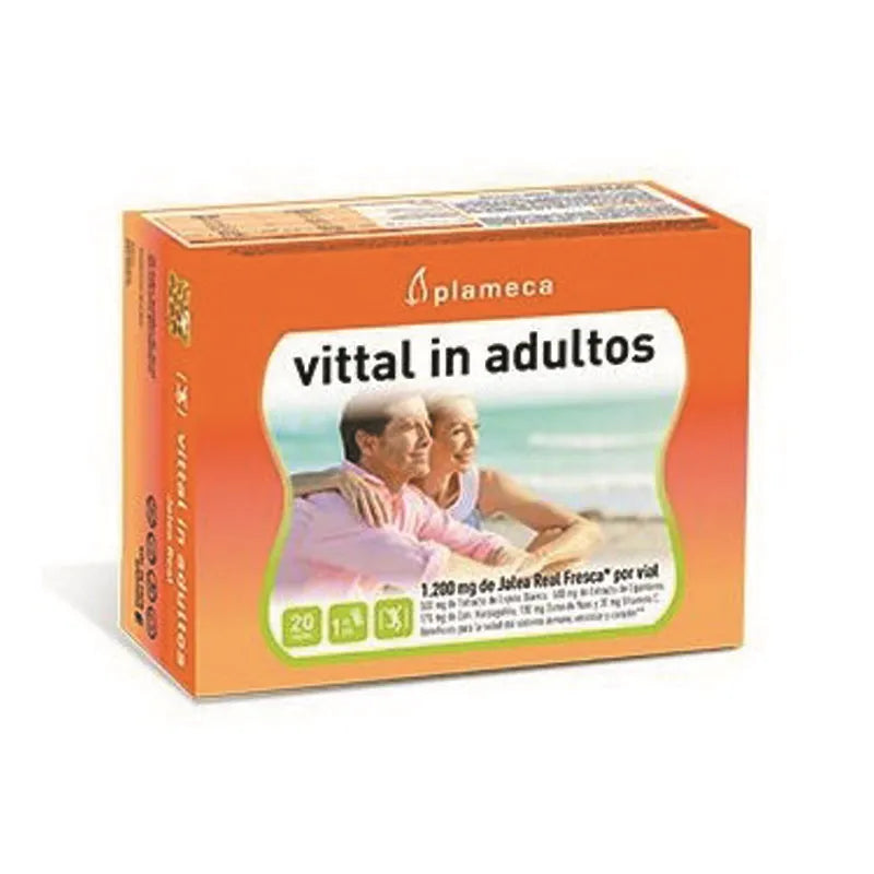 PLAMECA PLAMECA Vittal In Adultos Renovado 20 Vials Kosmetikampullen