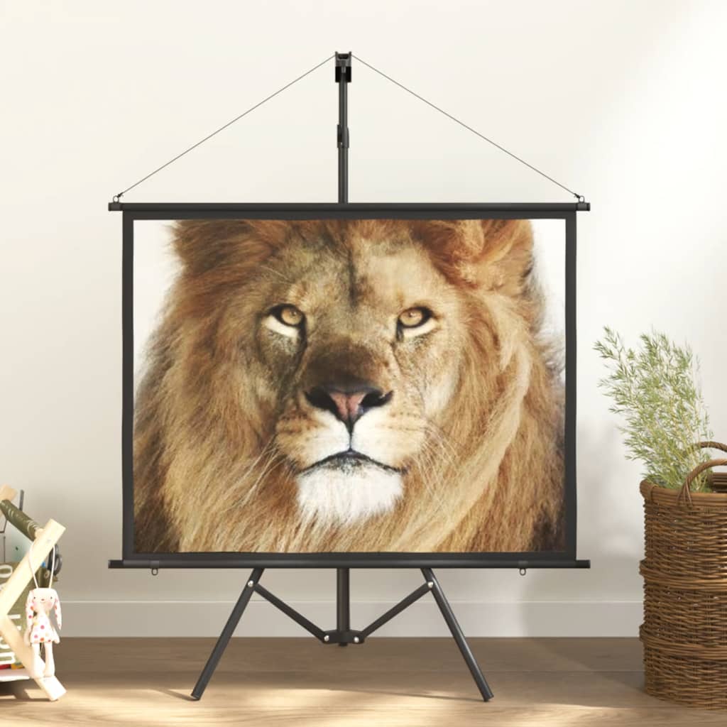 Beamer-Leinwand Mit Stativ