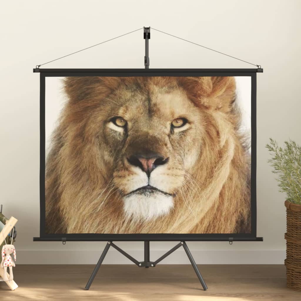 Beamer-Leinwand Mit Stativ