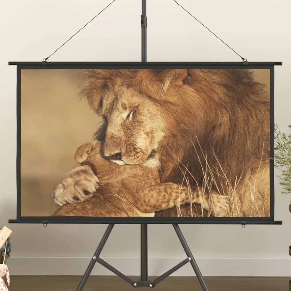 Beamer Leinwand