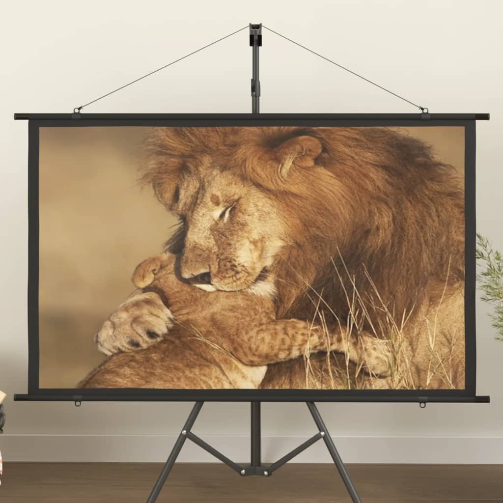 Beamer Leinwand