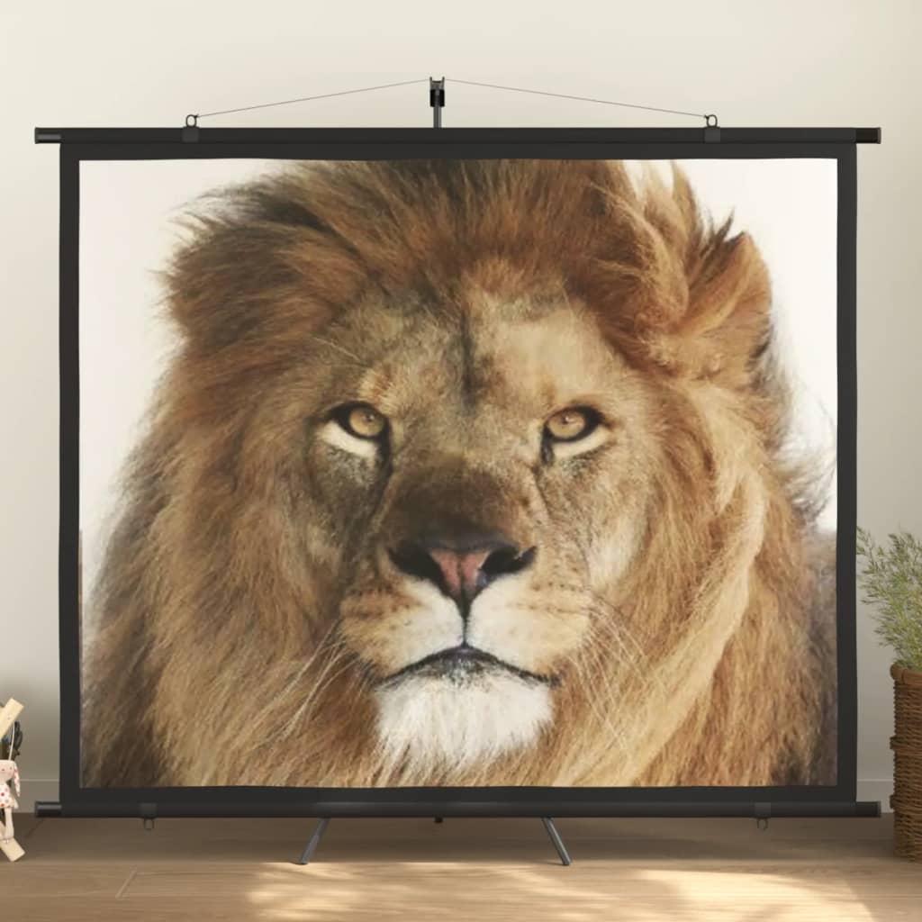 Beamer-Leinwand Mit Stativ