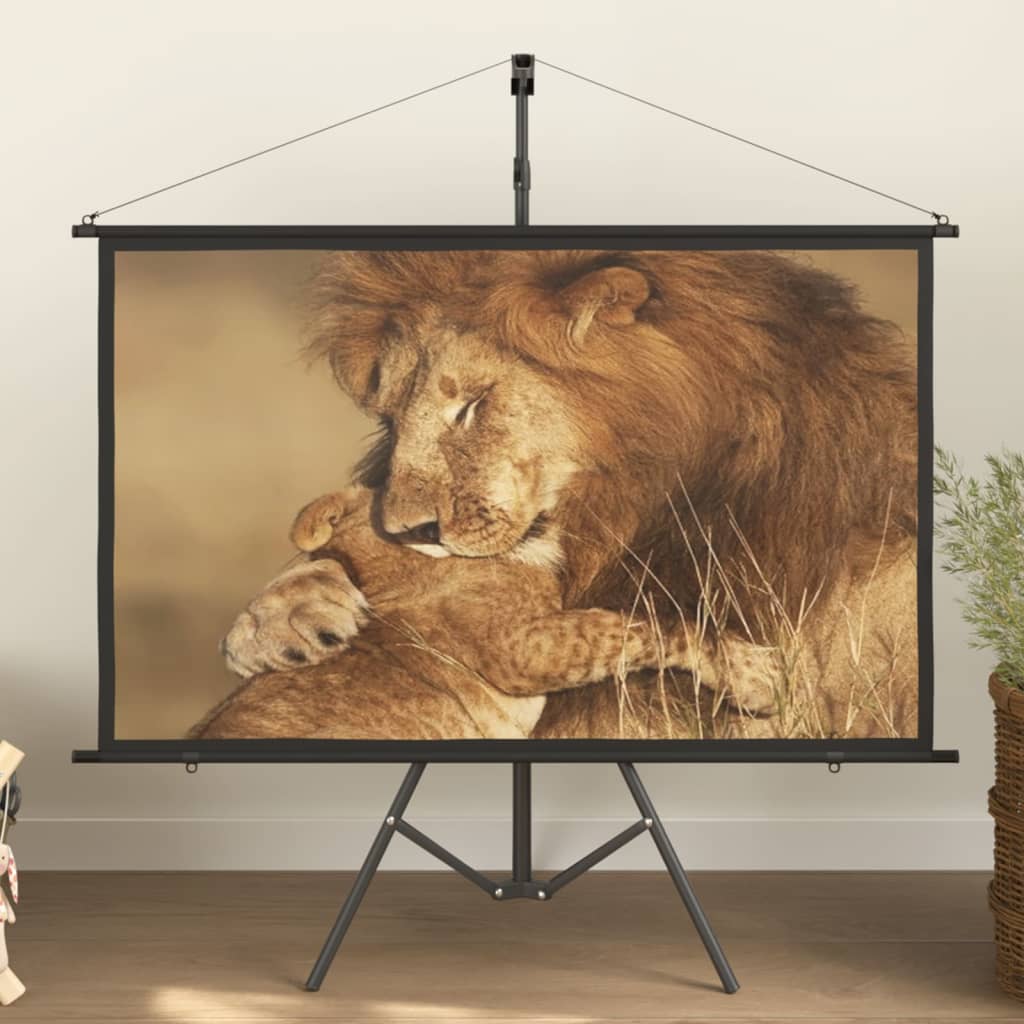 Beamer-Leinwand Mit Stativ