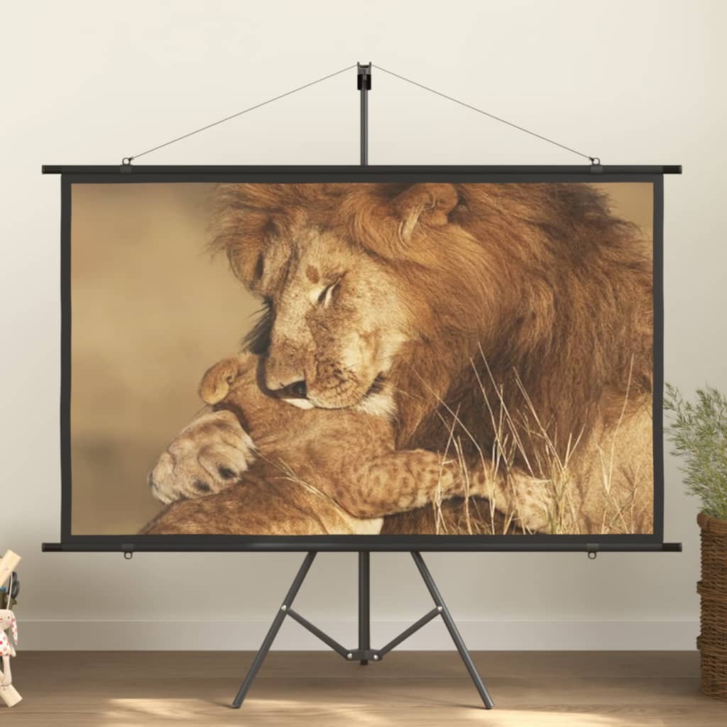 Beamer-Leinwand Mit Stativ
