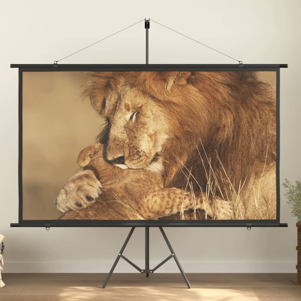 Beamer-Leinwand Mit Stativ