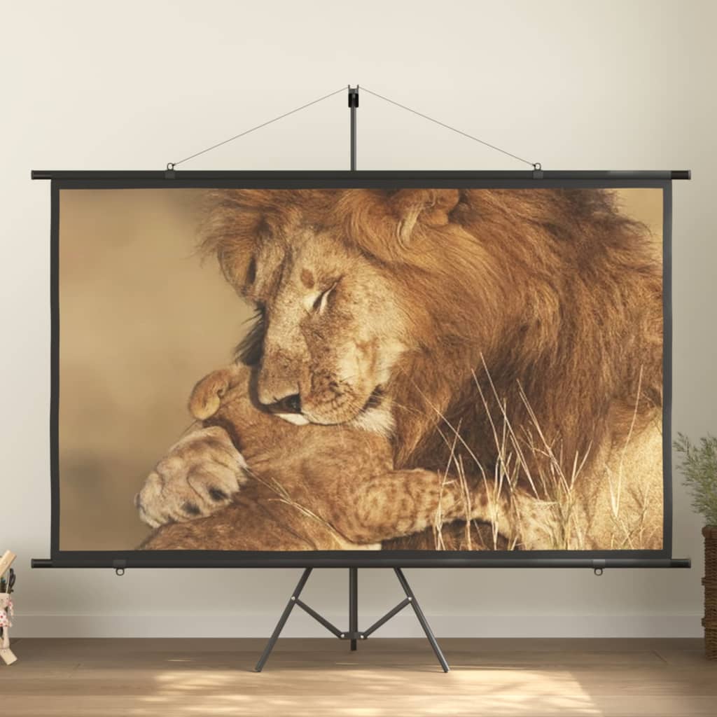 Beamer-Leinwand Mit Stativ