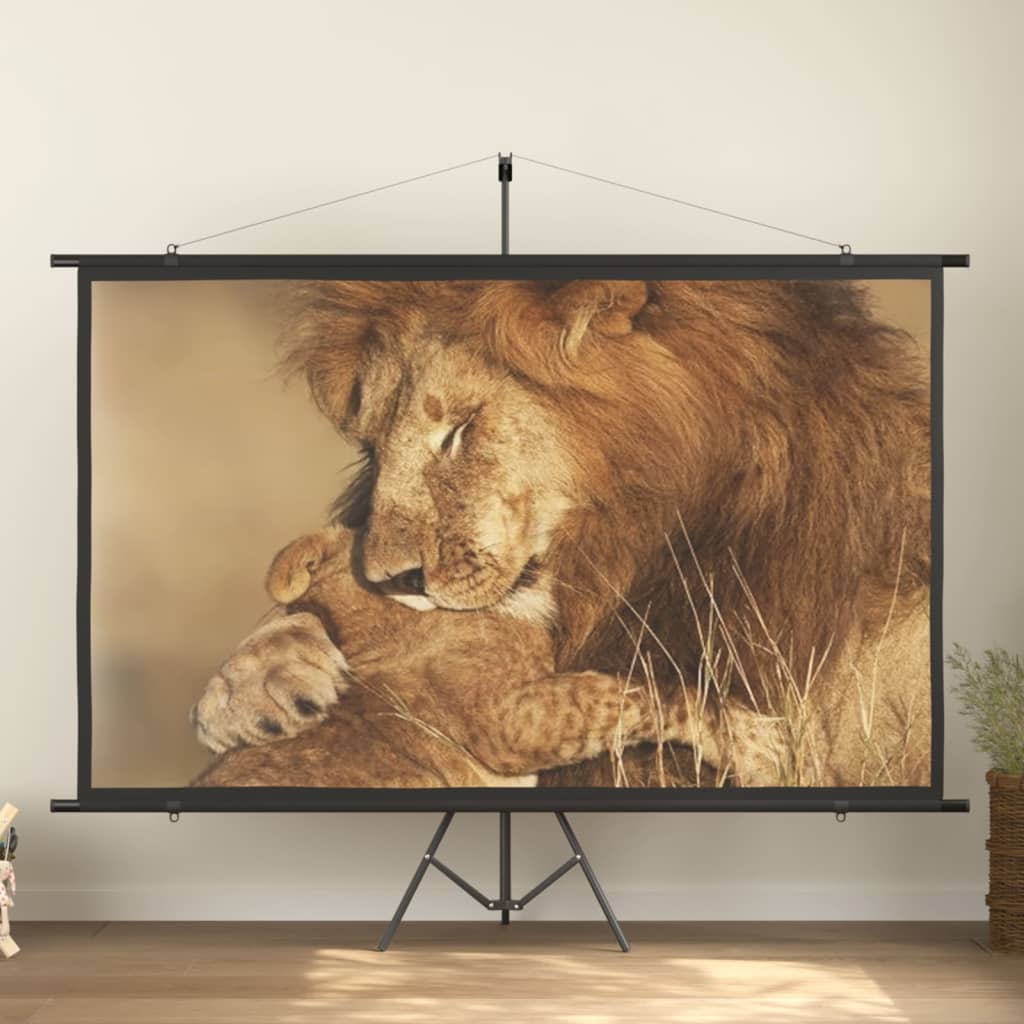 Beamer-Leinwand Mit Stativ