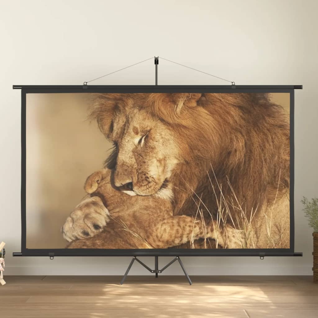 Beamer-Leinwand Mit Stativ