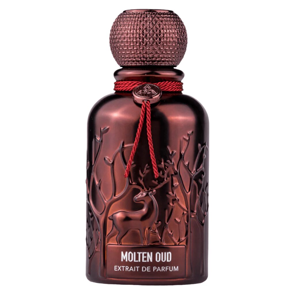 Auraa Desire Auraa Desire, Molten Oud, Parfumextrakt, Für Männer, 100 ml Regular