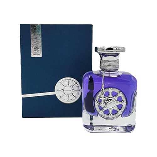 Aurora Aurora Voyager Silver Eau de Parfum für Männer 100 ml Parfüm