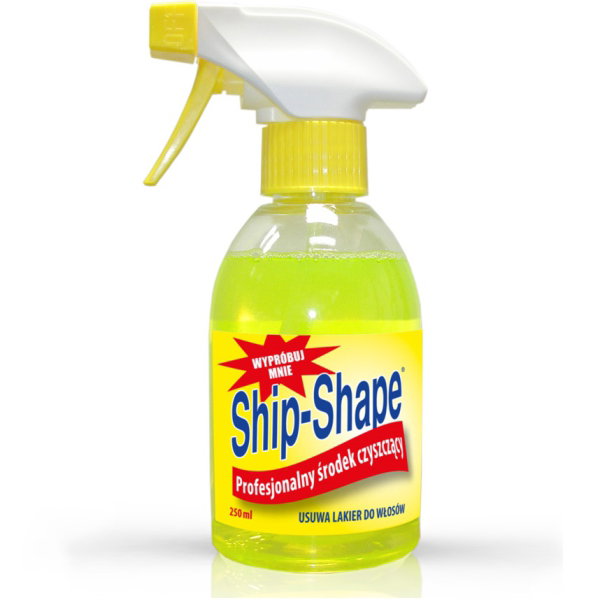 Barbicide Barbicide, Ship-Shape, Professioneller Oberflächenreiniger, 250 ml Regular