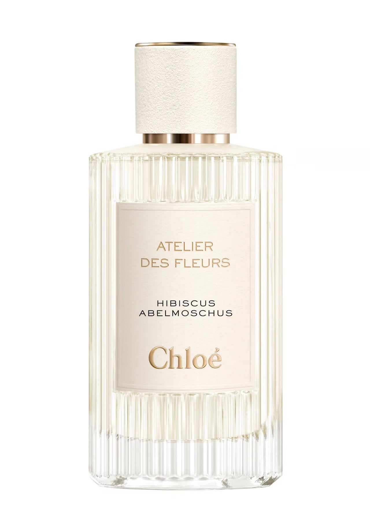 Chloe Chloe, Hibiscus Abelmoschus, Eau de Parfum, Für Frauen, 150 ml Regular