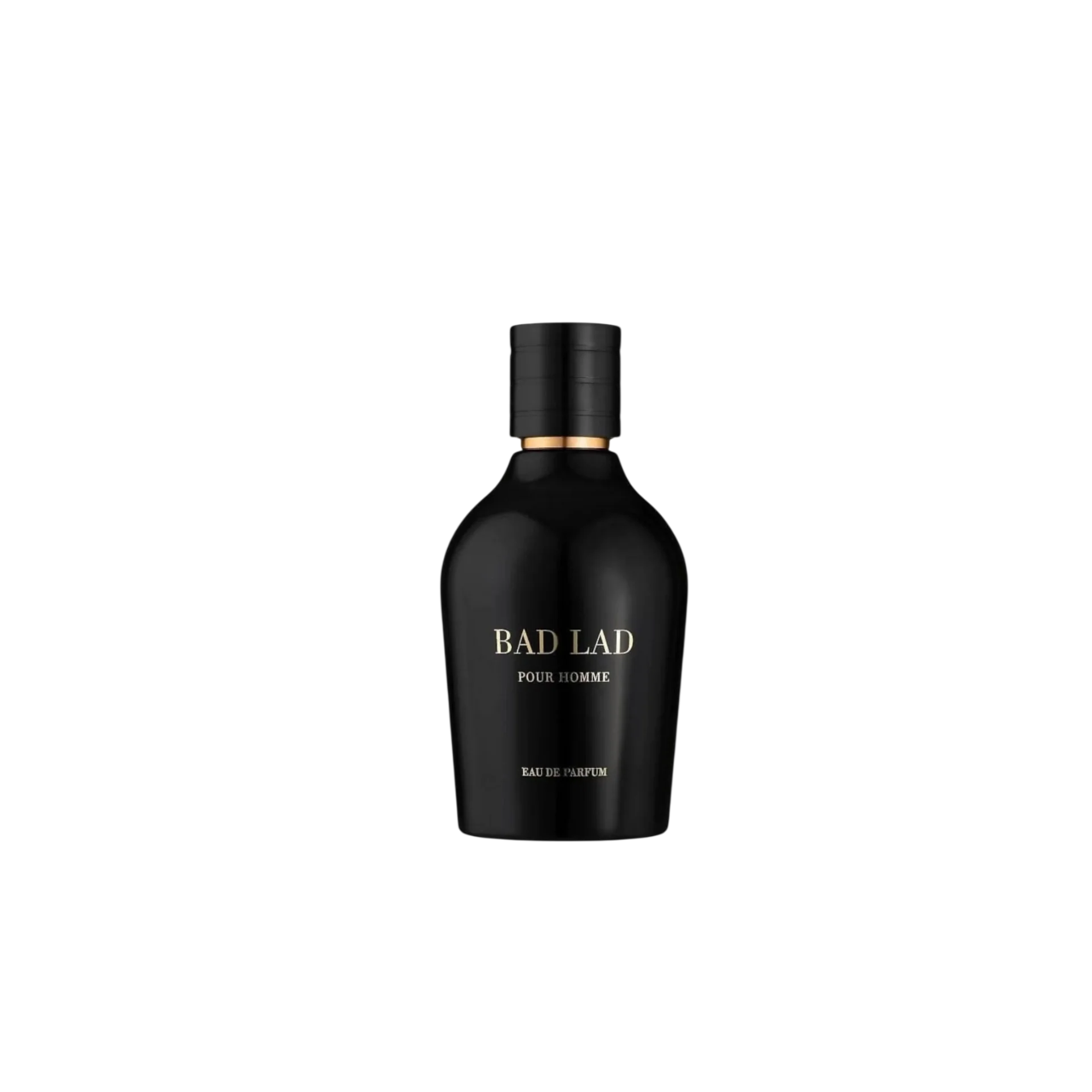 Fragrance World Fragrance World, Bad Lad, Eau de Parfum, Für Männer, 100 ml Regular