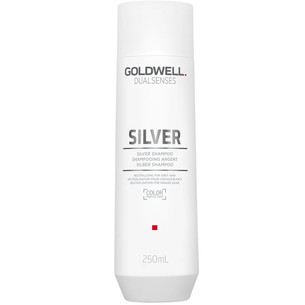 Goldwell Goldwell, Dualsenses Silver, Haarshampoo, Gegen Grau, 250 ml Regular