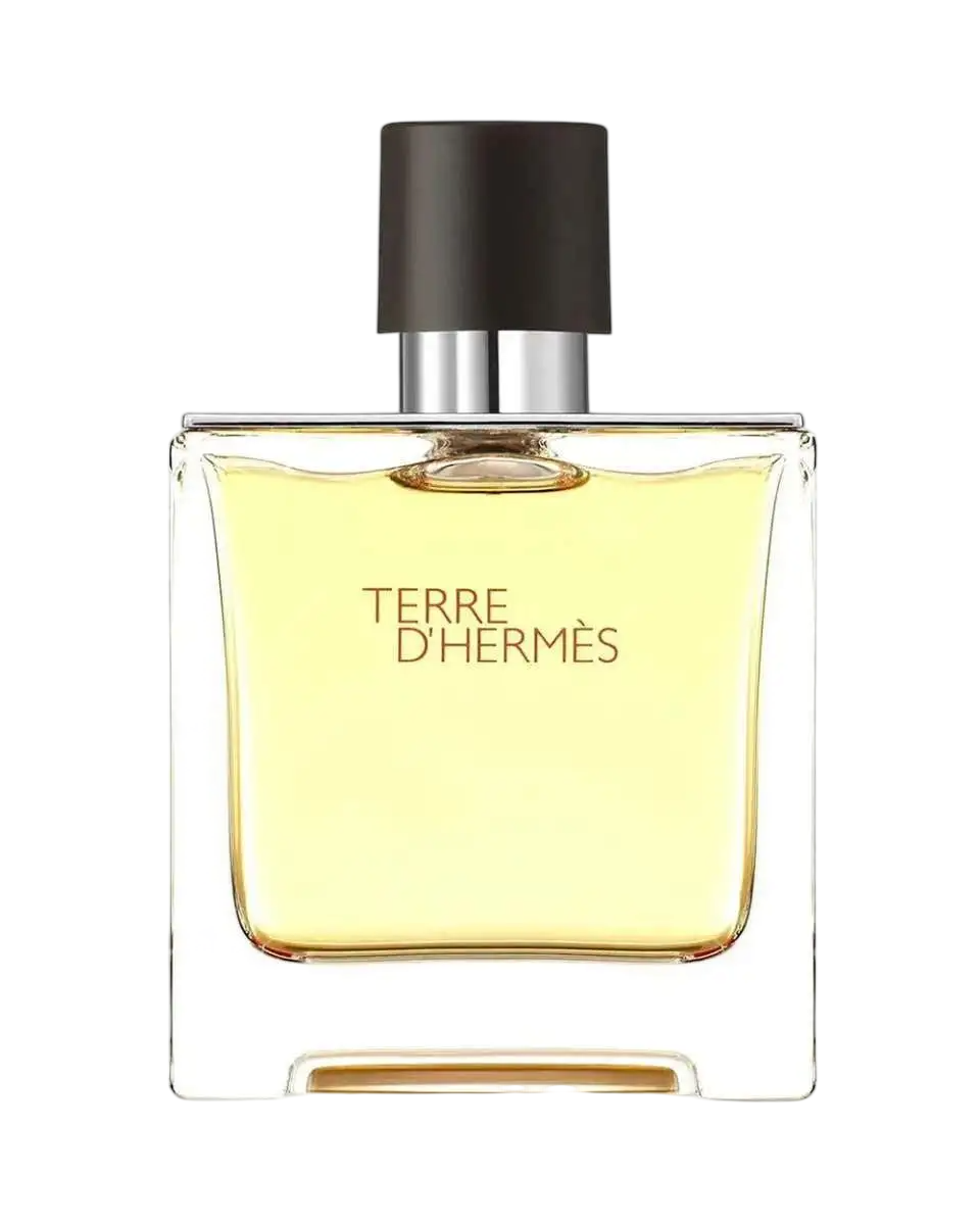 Hermes Hermes, Terre d'Hermes, Eau de Parfum, Für Männer, 75 ml *Tester