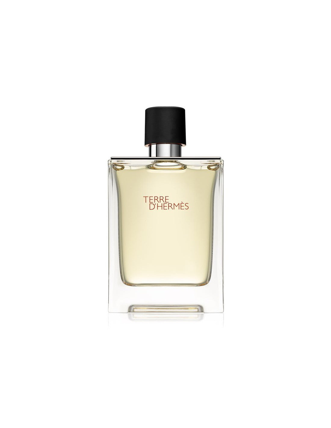 Hermes Hermes, Terre d'Hermes, Eau de Toilette, Für Männer, 100 ml Regular