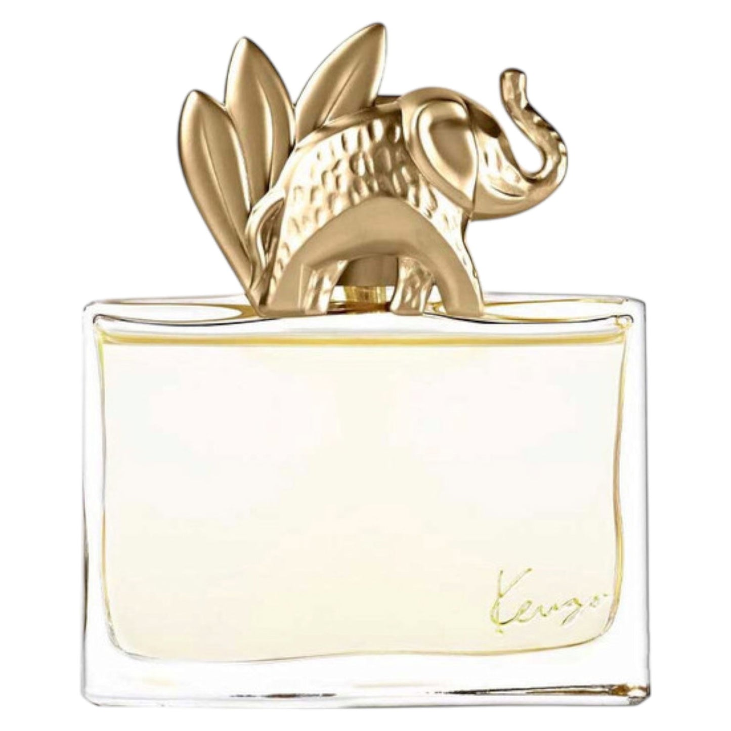 Kenzo Kenzo, Jungle L' Elephant , Eau de Parfum, Für Frauen, 100 ml Regular