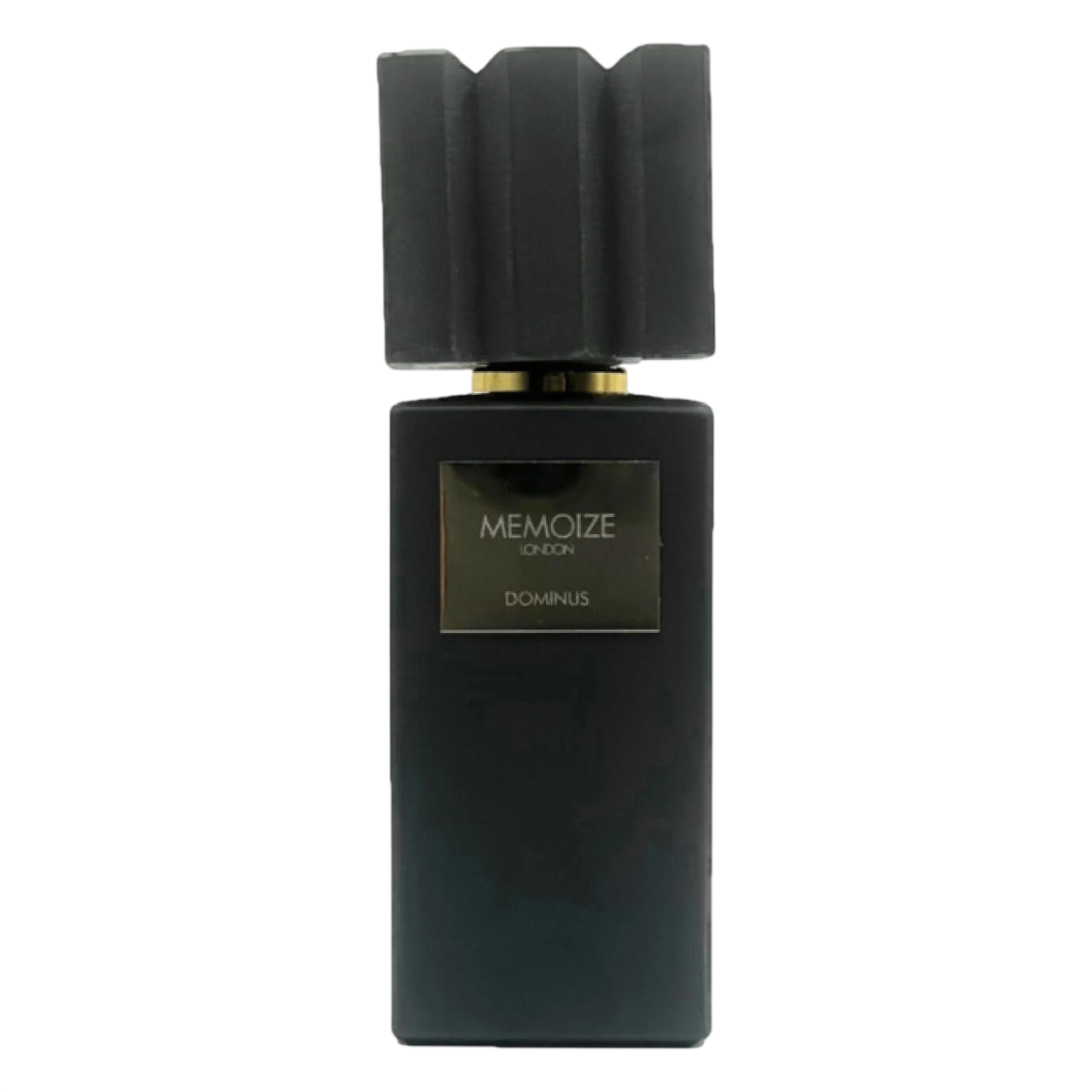 Memoize Memoize, Dominus, Eau de Parfum, Unisex, 100 ml Regular