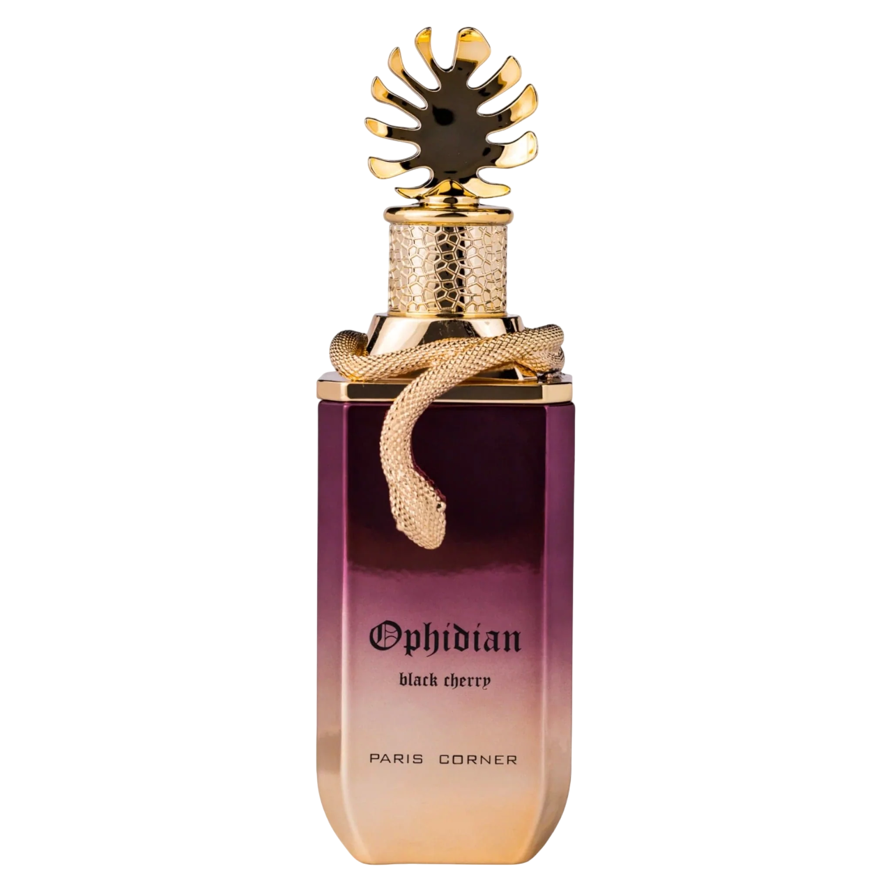 Paris Corner Paris Corner, Ophidian Black Cherry, Eau de Parfum, Unisex, 100 ml Regular