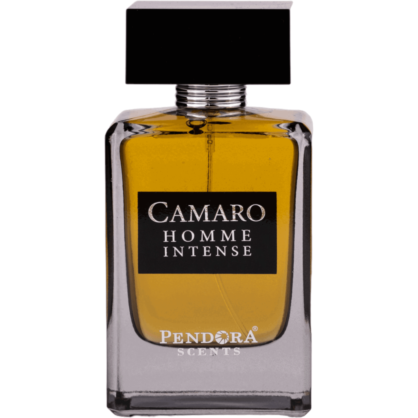 Pendora Scents Pendora Scents, Camaro Homme Intense, Eau de Parfum, Für Männer, 100 ml Regular