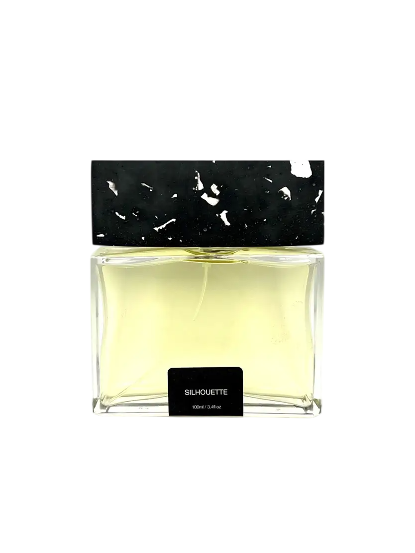 Pictor Parfum Pictor Parfum, Silhouette, Parfumextrakt, Unisex, 100 ml Regular