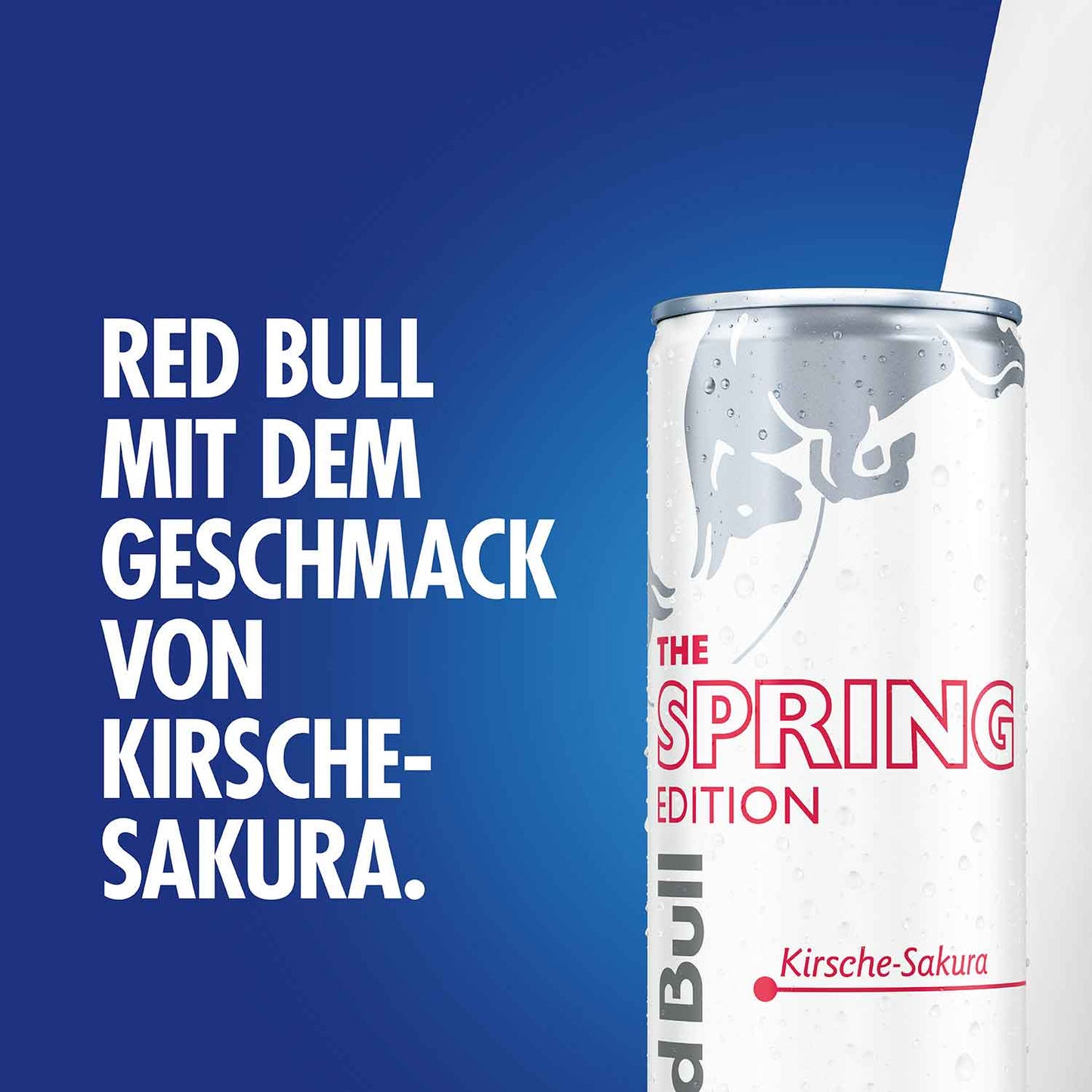 Red Bull Energy Drink Spring Edition Kirsche Sakura 250ml