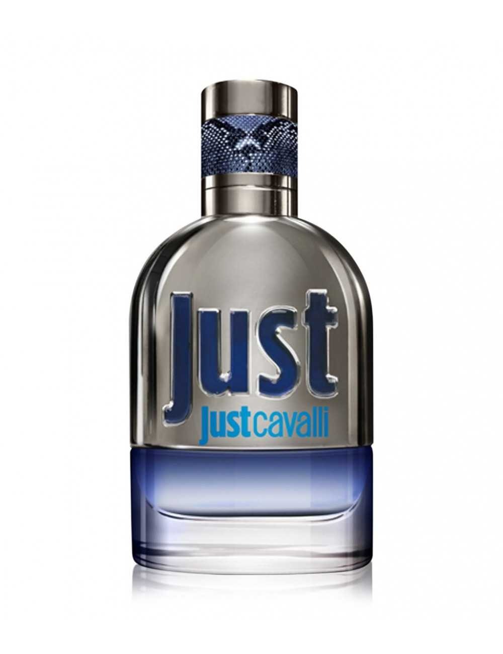 Roberto Cavalli Roberto Cavalli, Just Cavalli, Eau de Toilette, Für Männer, 90 ml *Tester
