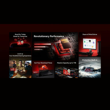 Lexar Speicherkarte Micro Sdxc Lexar Lmsxps0256G-Bnnng Schwarz Rot 256 Gb