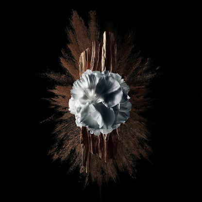 V6HD57BFFBA2AA917DD3D6BAA465CAA4794R5397790P5