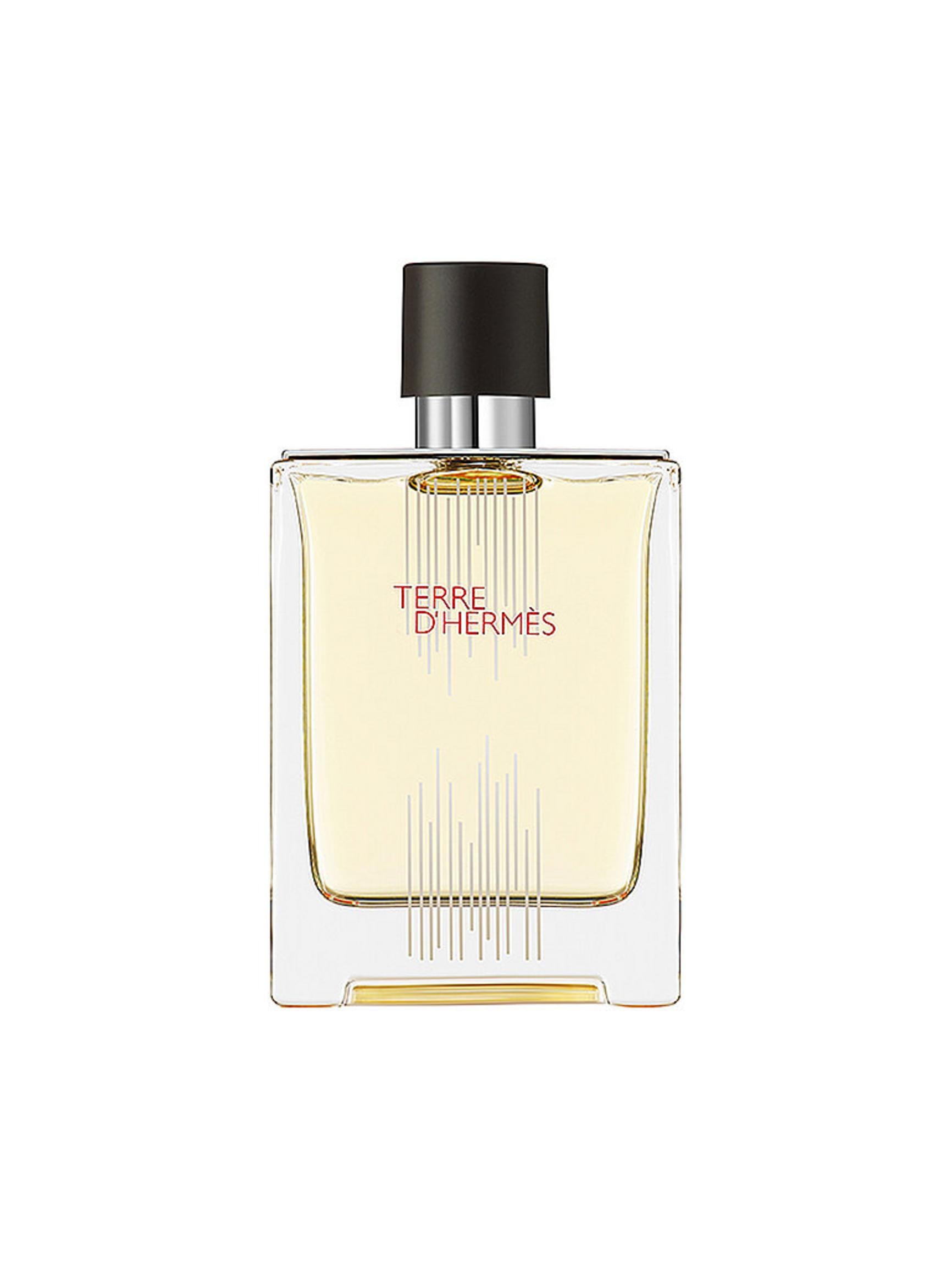 Hermes Hermes, Terre d'Hermes Flacon H Limited Edition, Eau de Toilette, Für Männer, 100 ml Regular