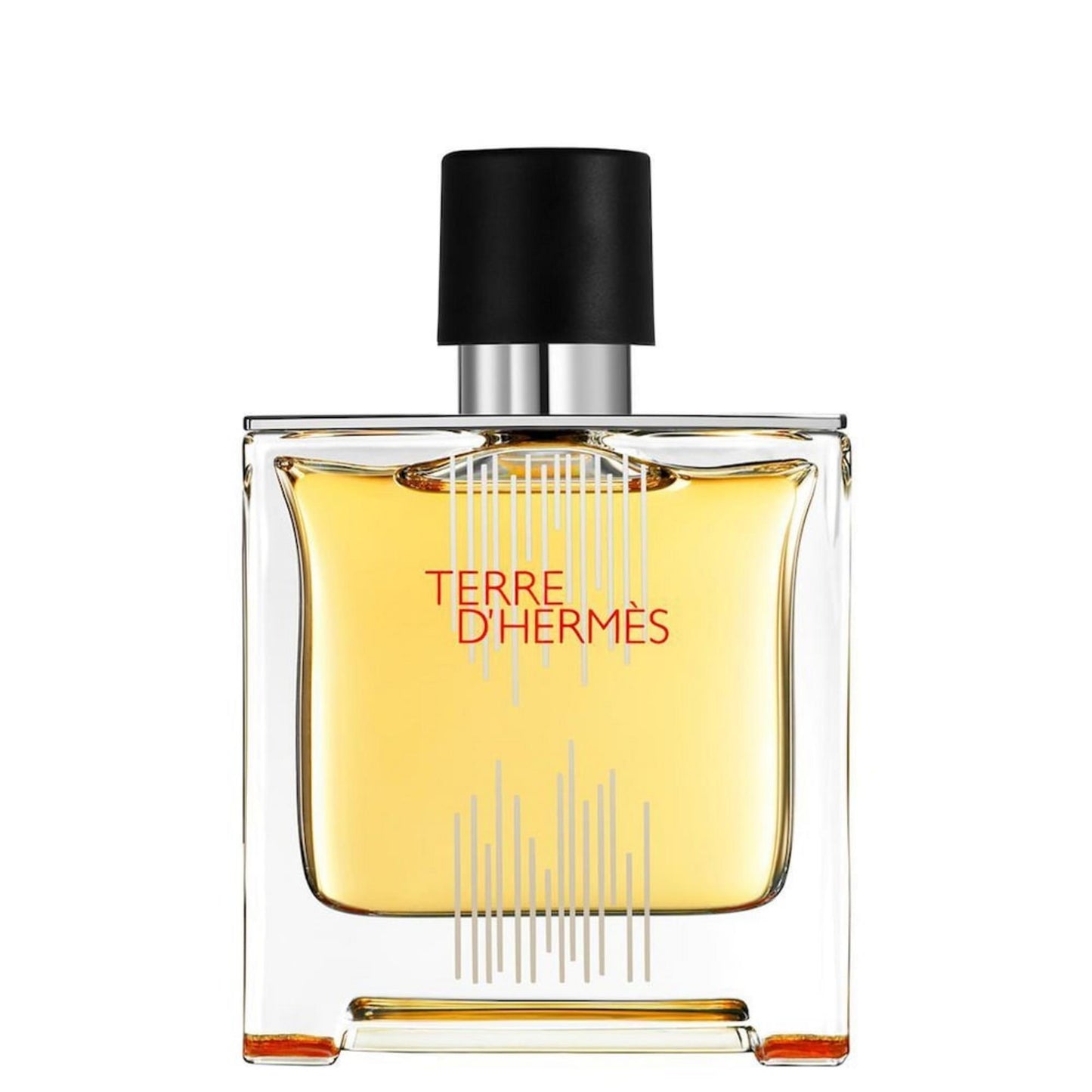 Hermes Hermes, Terre d'Hermes Flacon H 2021, Parfüm, Für Männer, 75 ml Regular