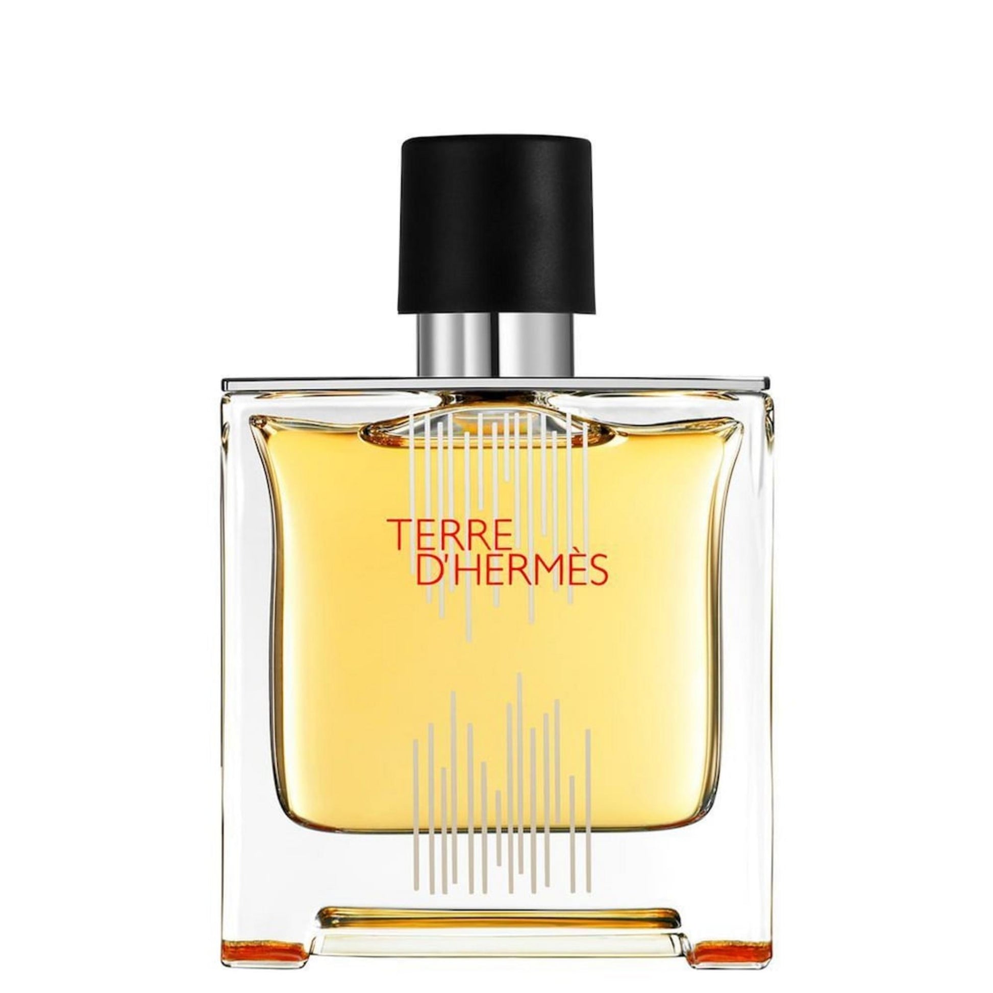 Hermes Hermes, Terre d'Hermes Flacon H 2021, Parfüm, Für Männer, 75 ml Regular