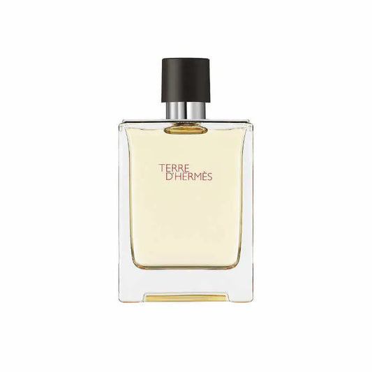 HERMÈS HERMÈS Terre d’Hermès Eau de Toilette Spray 100 ml Herrenparfum Parfüm
