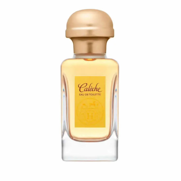 HERMÈS HERMÈS Calèche Eau de Toilette Spray 100 ml Herrenduft Parfüm