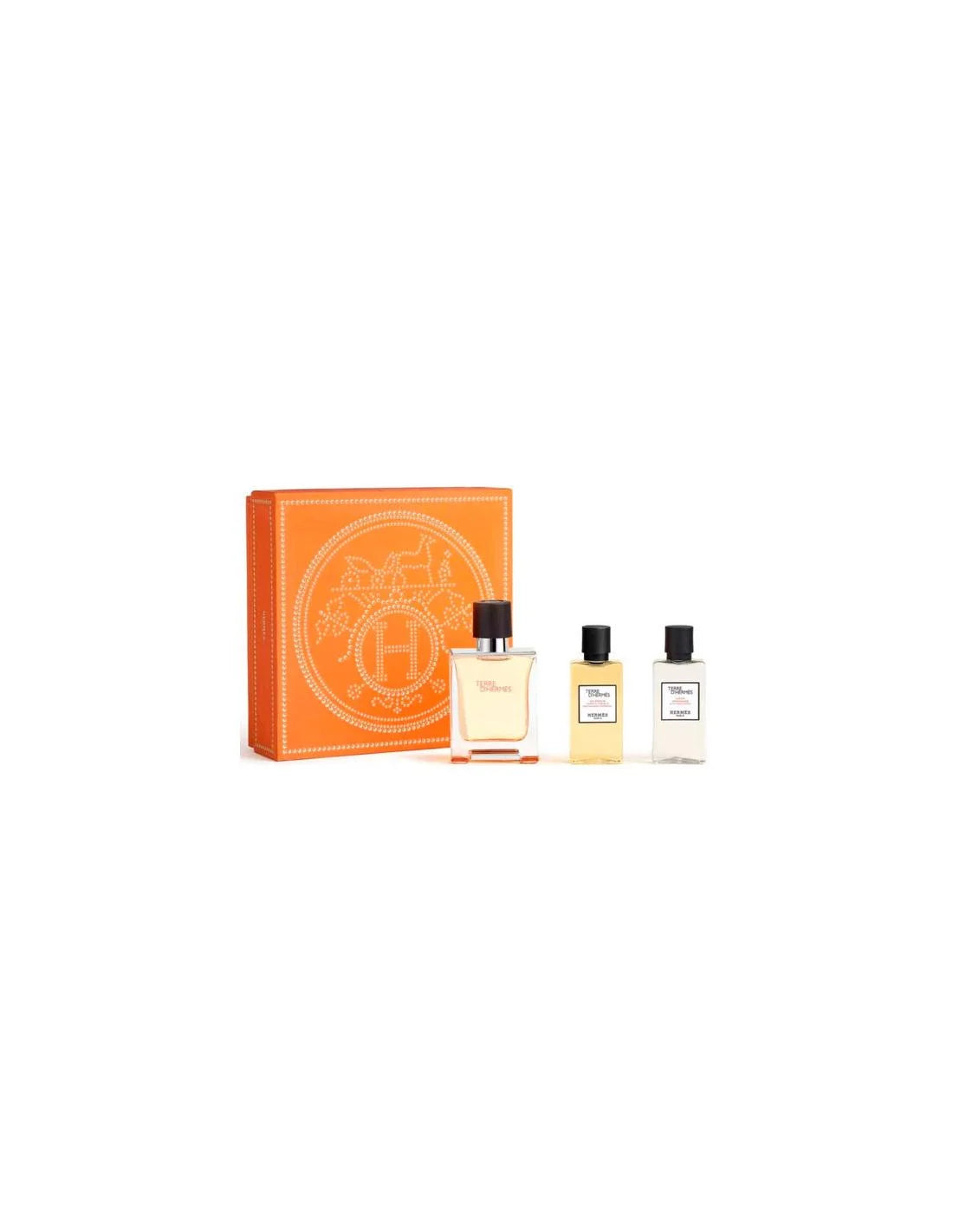 HERMÈS HERMÈS Terre d’Hermès Eau de Toilette 50 ml Spray Gel 40 Ash 40 Kosmetik