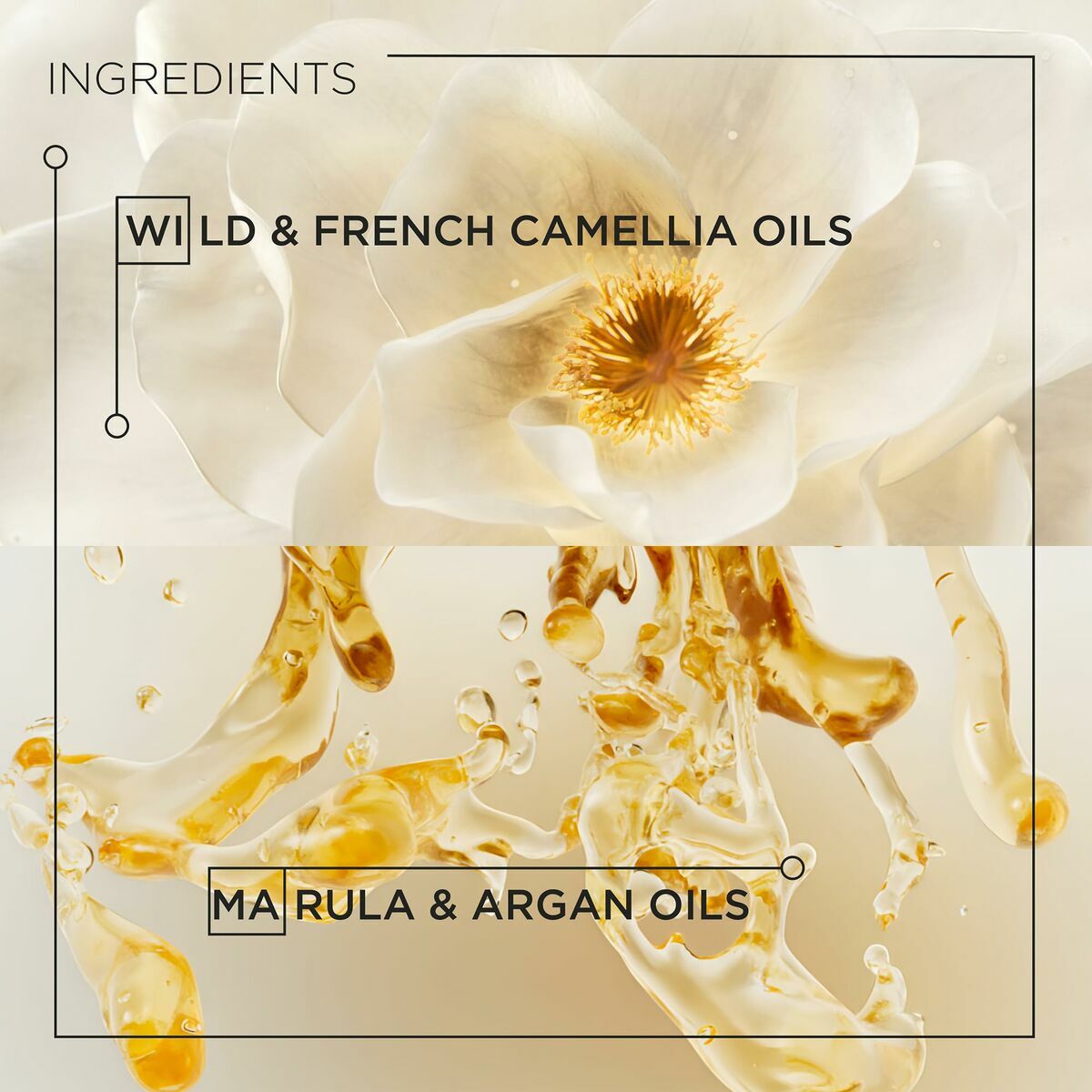 V5HF98BED0F0EB848EBD65095CD458BD653R5915535P4