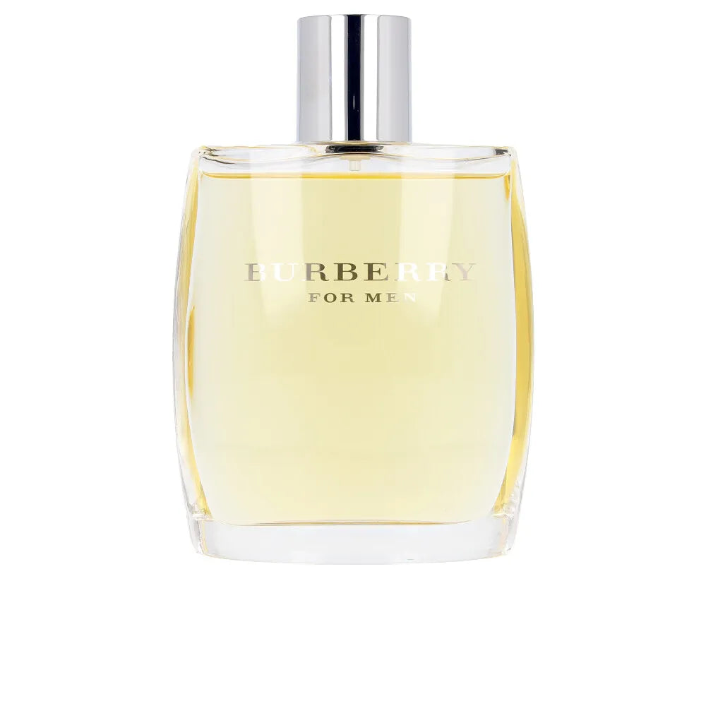 BURBERRY BURBERRY Men Spray 100 ml Herrenduft Kosmetik
