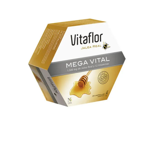 VITAFLOR Mega Vital 20 Ampullen 200 ml Kosmetikpflege