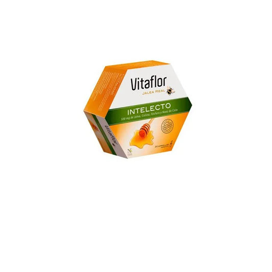 VITAFLOR Jalea Real Intelecto 20 Ampullen Kosmetikpflege