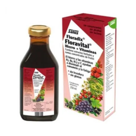 FLORAVITAL Floravital Floradix 250 ml Flüssigkeit zur Nahrungsergänzung Kosmetik
