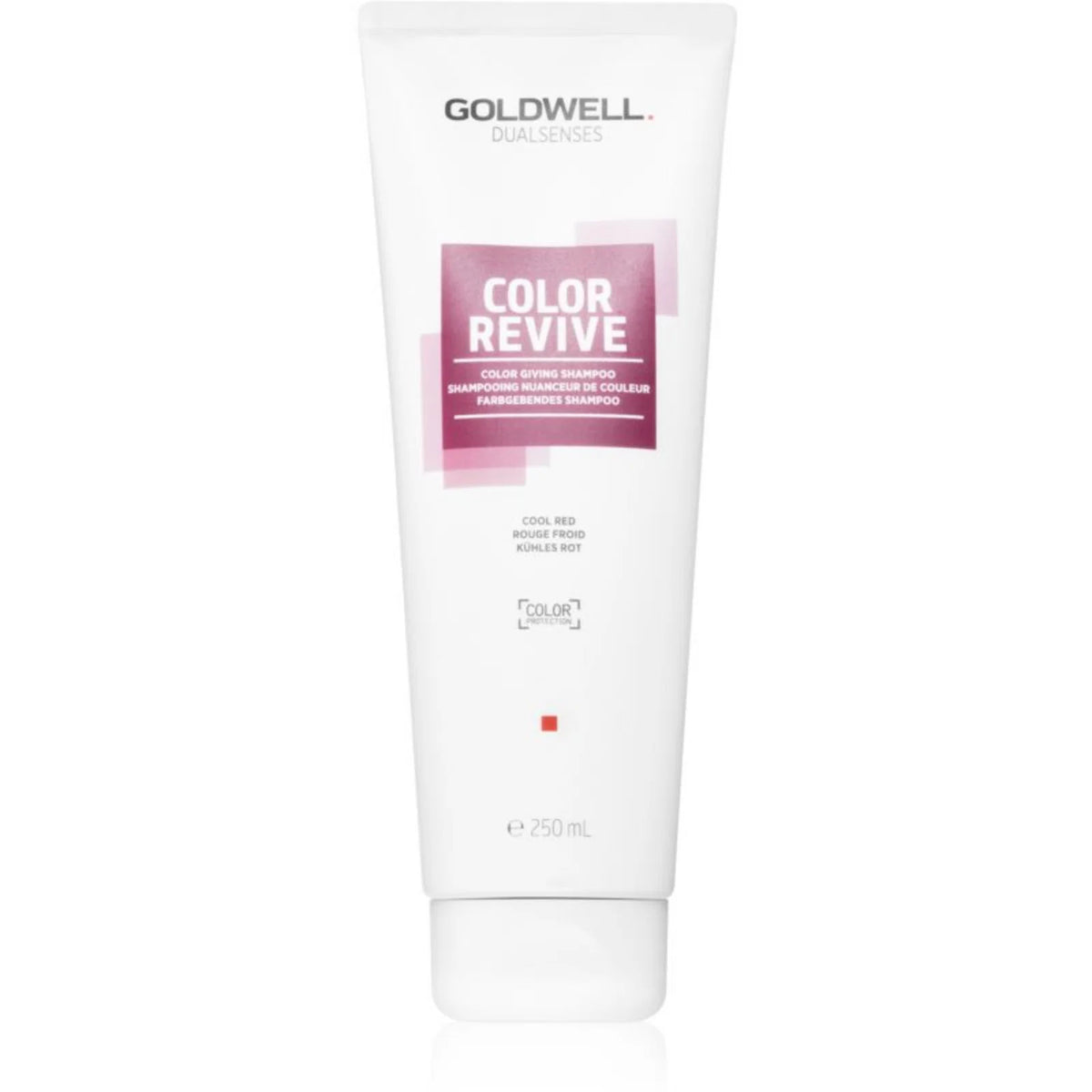 Goldwell Dualsenses Color Revive Post Colour Shampoo Color Protection & Shine 250 ml