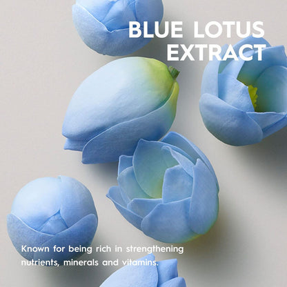 V4HED197BFBB22935555D4D523288F4E233R7388195P8