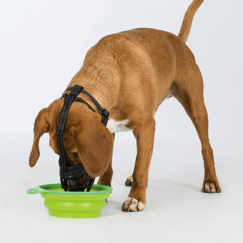 Trixie Aulkorb Flex Größe Schwarz 17612