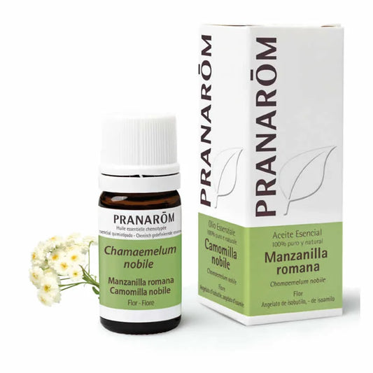 PRANARÔM Römisches Kamillenblüten ätherisches Öl 5 ml